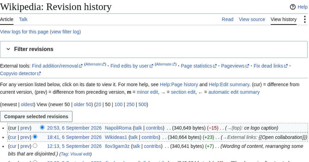 Screenshot of the public edit history for Wikipedia's own article about itself, listing every contributor, date, and change