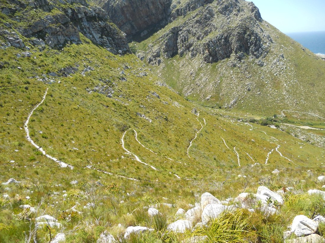 A zigzag trail climbing up a hillside