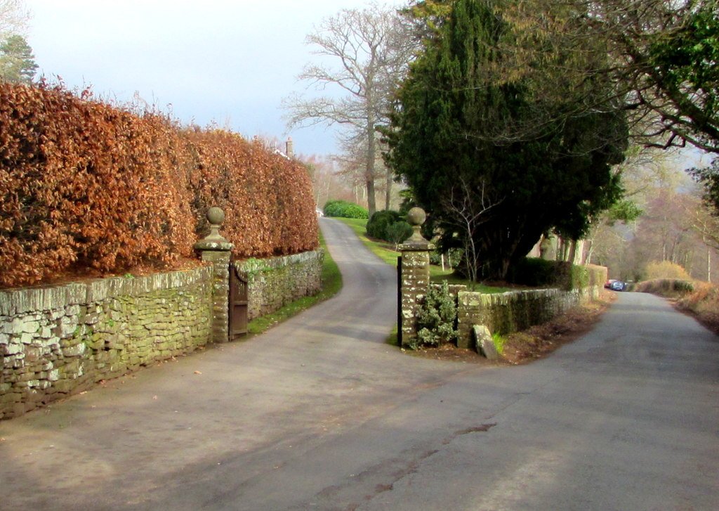 Une route de campagne qui se divise en deux chemins distincts